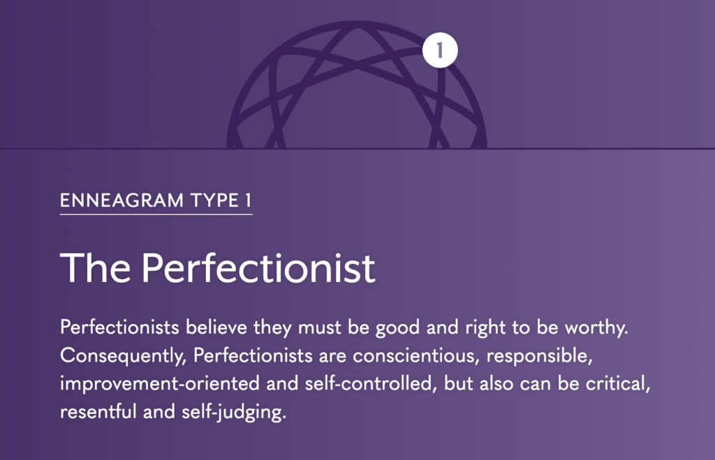 the perfectionist description